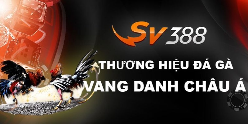 Thông tin về sảnh sv388 đá gà mới nhất năm 2024